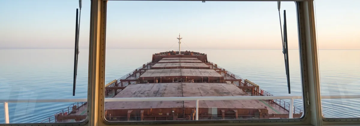 Bulk carrier transporting petroleum coke cargo across open water at midday.